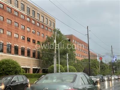 Baptist Health Lexington