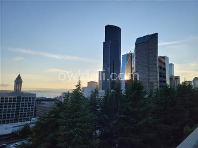 Harborview Medical Center